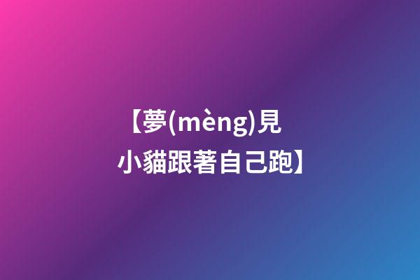 【夢(mèng)見小貓跟著自己跑】