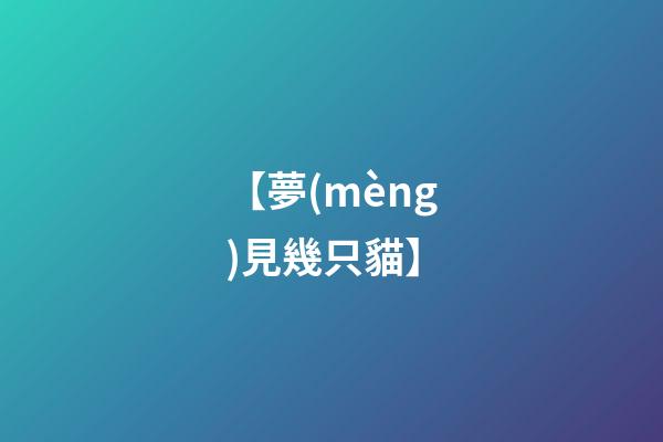 【夢(mèng)見幾只貓】