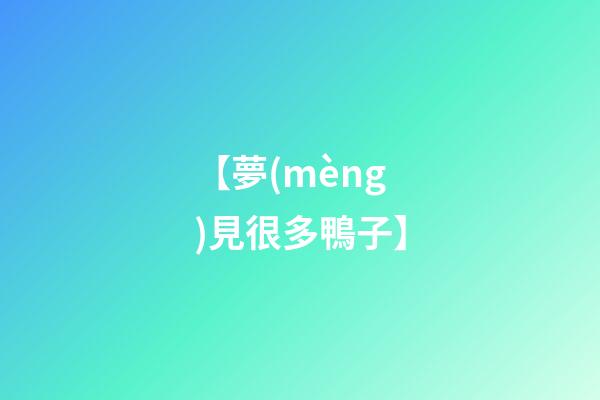 【夢(mèng)見很多鴨子】