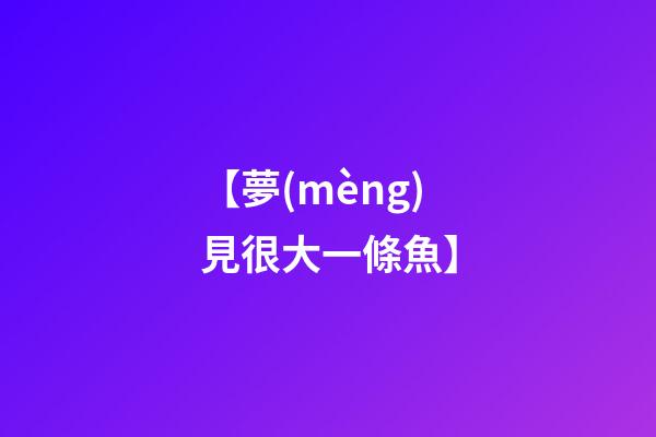 【夢(mèng)見很大一條魚】