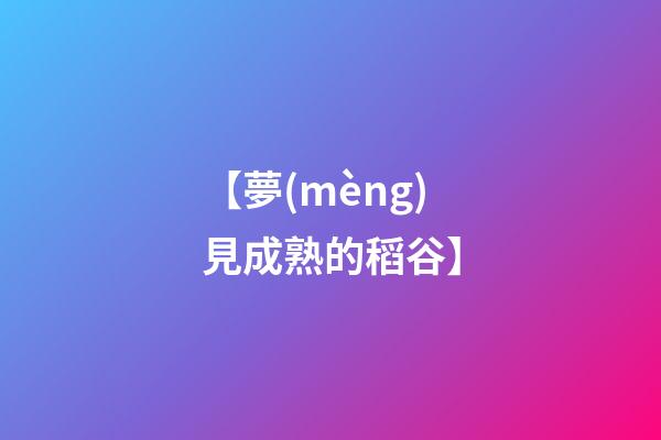 【夢(mèng)見成熟的稻谷】