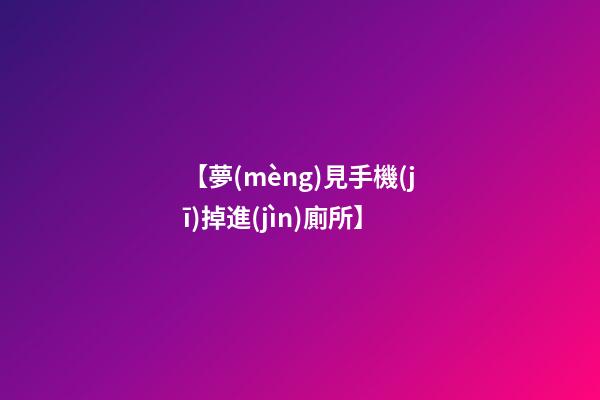 【夢(mèng)見手機(jī)掉進(jìn)廁所】