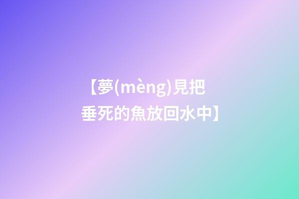 【夢(mèng)見把垂死的魚放回水中】