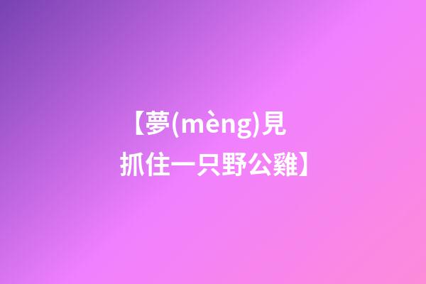 【夢(mèng)見抓住一只野公雞】