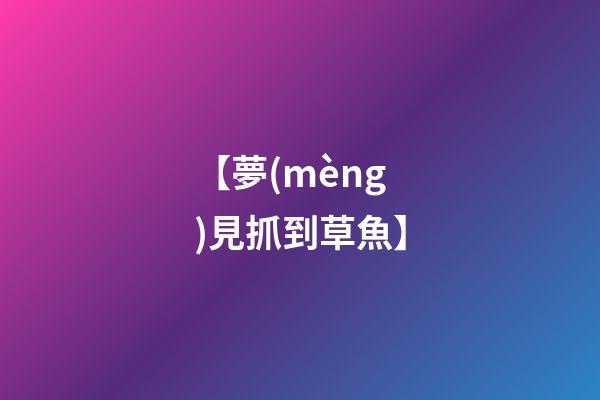 【夢(mèng)見抓到草魚】