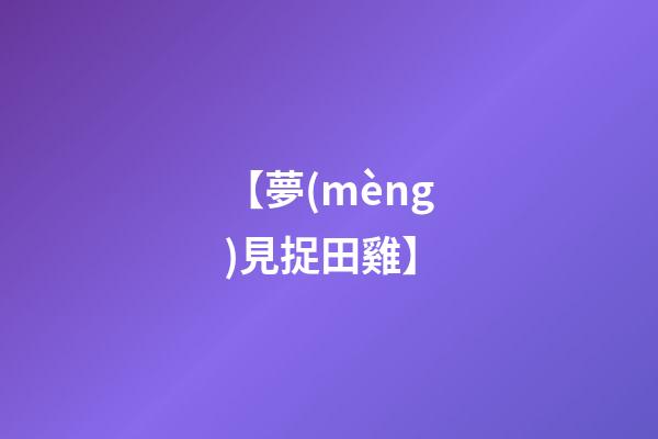 【夢(mèng)見捉田雞】