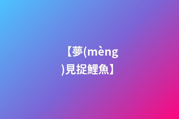 【夢(mèng)見捉鯉魚】