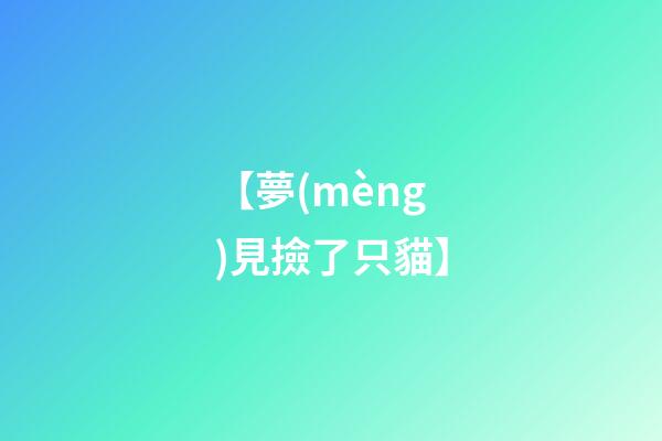 【夢(mèng)見撿了只貓】