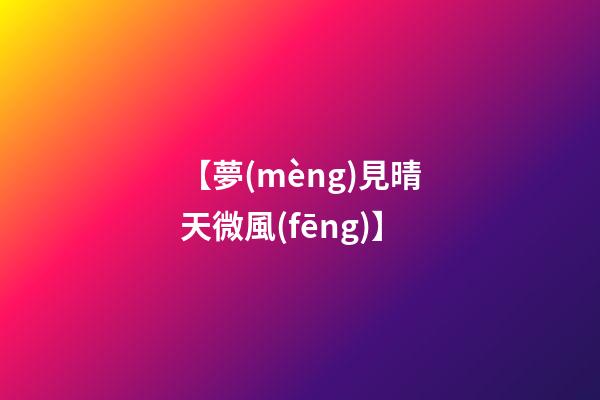 【夢(mèng)見晴天微風(fēng)】