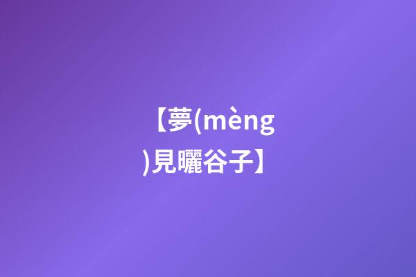 【夢(mèng)見曬谷子】