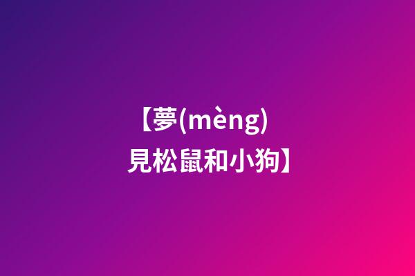 【夢(mèng)見松鼠和小狗】