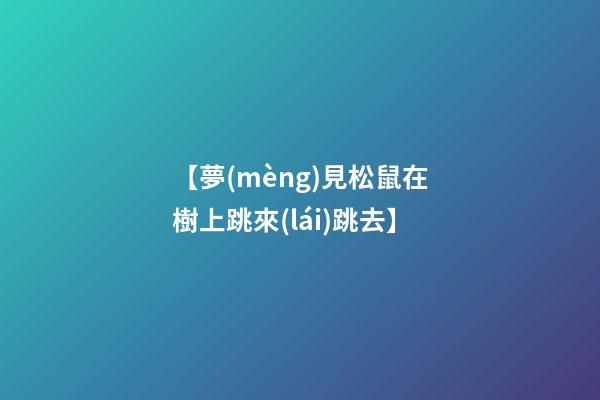 【夢(mèng)見松鼠在樹上跳來(lái)跳去】