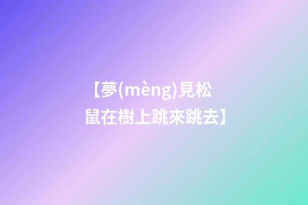 【夢(mèng)見松鼠在樹上跳來跳去】