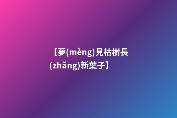 【夢(mèng)見枯樹長(zhǎng)新葉子】