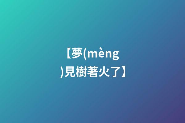 【夢(mèng)見樹著火了】