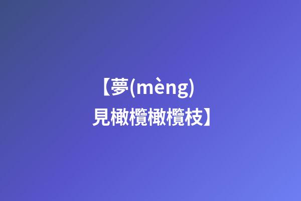 【夢(mèng)見橄欖橄欖枝】