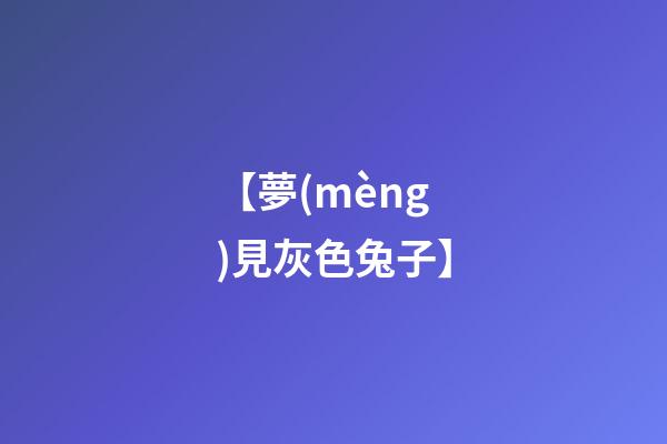 【夢(mèng)見灰色兔子】