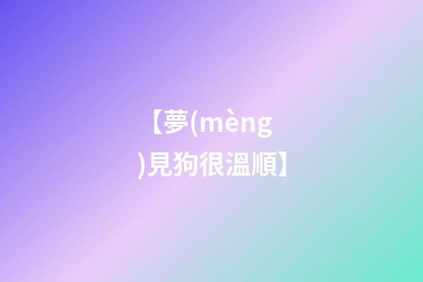 【夢(mèng)見狗很溫順】