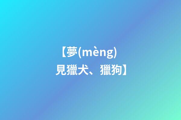 【夢(mèng)見獵犬、獵狗】