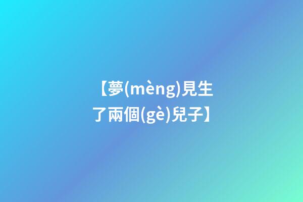 【夢(mèng)見生了兩個(gè)兒子】