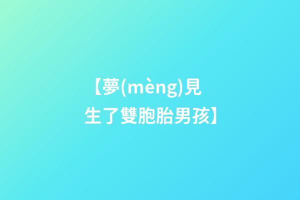 【夢(mèng)見生了雙胞胎男孩】