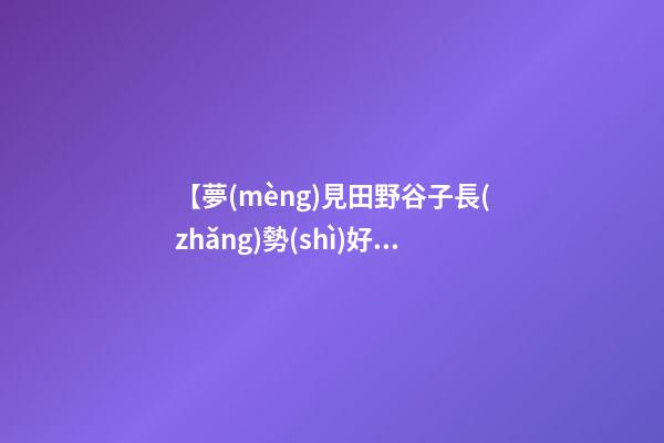 【夢(mèng)見田野谷子長(zhǎng)勢(shì)好】