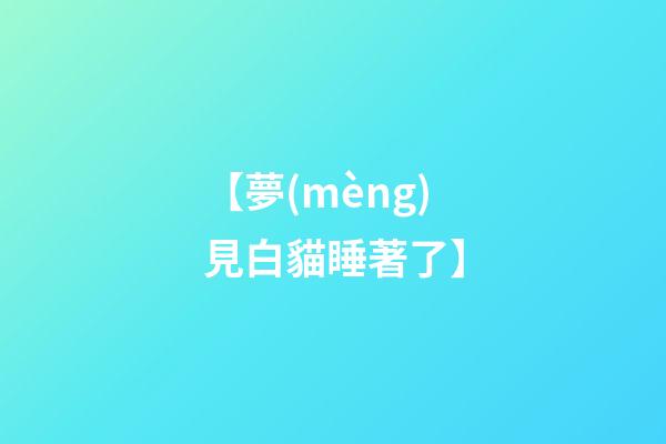 【夢(mèng)見白貓睡著了】