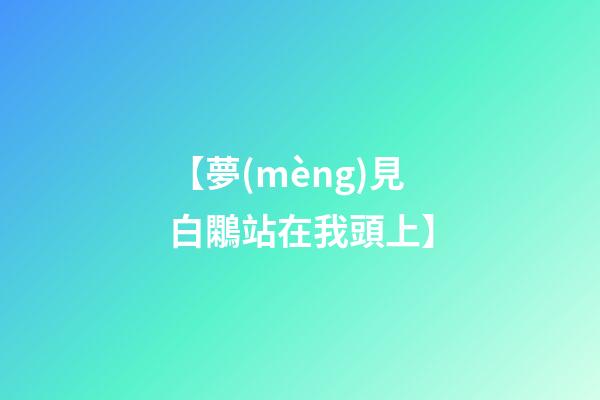 【夢(mèng)見白鷴站在我頭上】