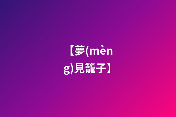 【夢(mèng)見籠子】