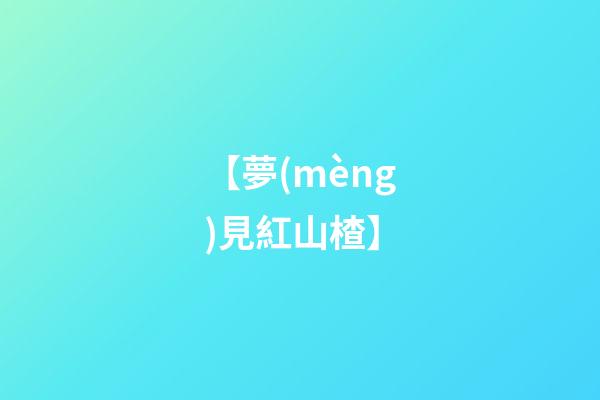【夢(mèng)見紅山楂】