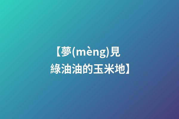 【夢(mèng)見綠油油的玉米地】