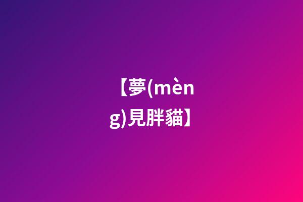 【夢(mèng)見胖貓】
