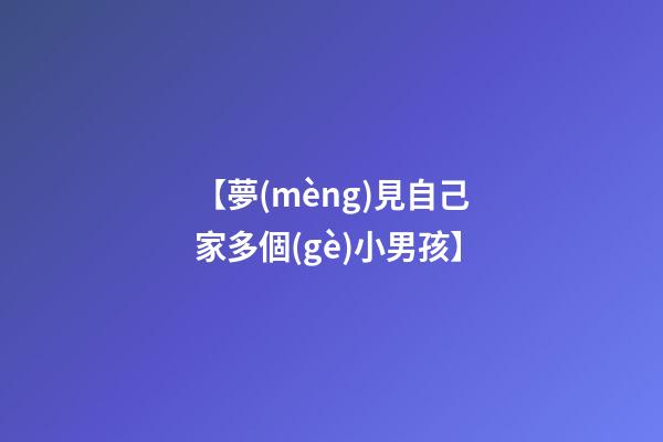 【夢(mèng)見自己家多個(gè)小男孩】