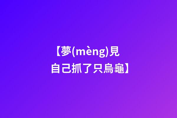 【夢(mèng)見自己抓了只烏龜】