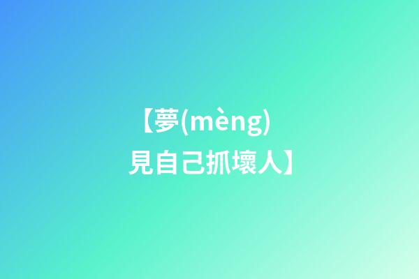 【夢(mèng)見自己抓壞人】