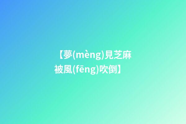 【夢(mèng)見芝麻被風(fēng)吹倒】