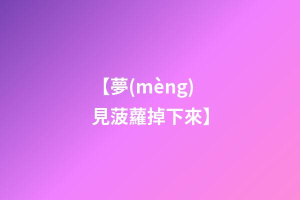 【夢(mèng)見菠蘿掉下來】
