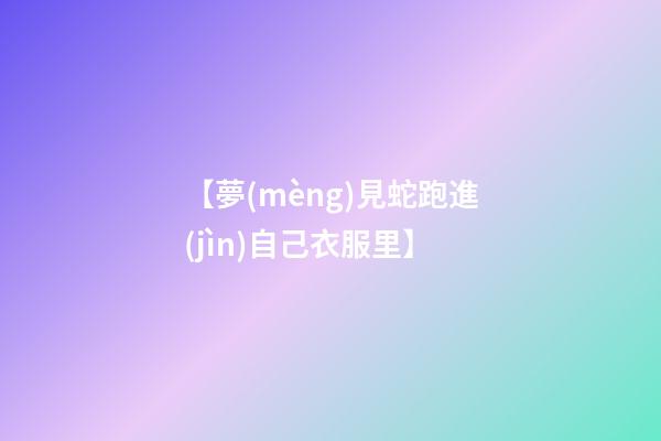 【夢(mèng)見蛇跑進(jìn)自己衣服里】