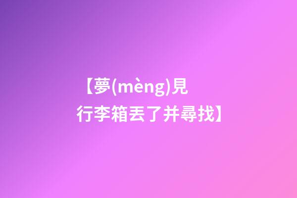 【夢(mèng)見行李箱丟了并尋找】