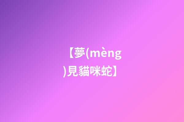 【夢(mèng)見貓咪蛇】