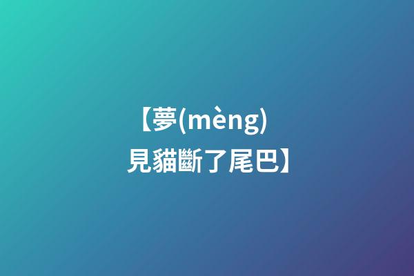 【夢(mèng)見貓斷了尾巴】