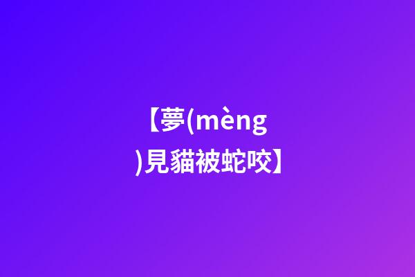 【夢(mèng)見貓被蛇咬】