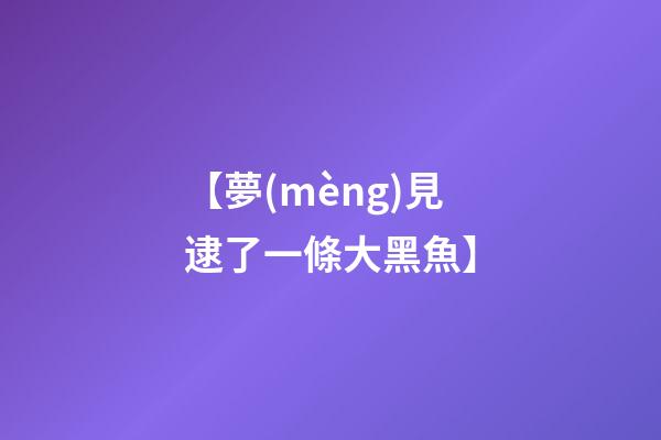 【夢(mèng)見逮了一條大黑魚】