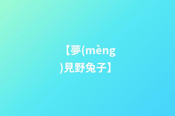 【夢(mèng)見野兔子】