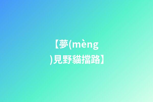 【夢(mèng)見野貓擋路】