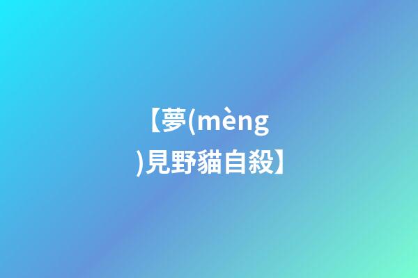 【夢(mèng)見野貓自殺】