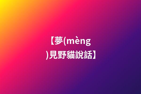 【夢(mèng)見野貓說話】