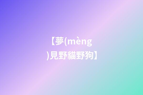 【夢(mèng)見野貓野狗】
