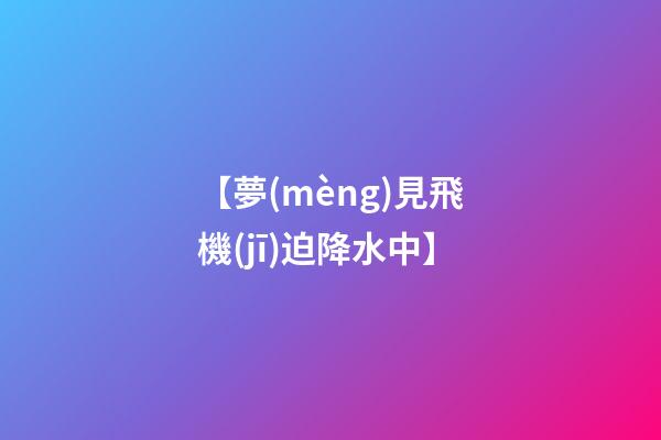 【夢(mèng)見飛機(jī)迫降水中】