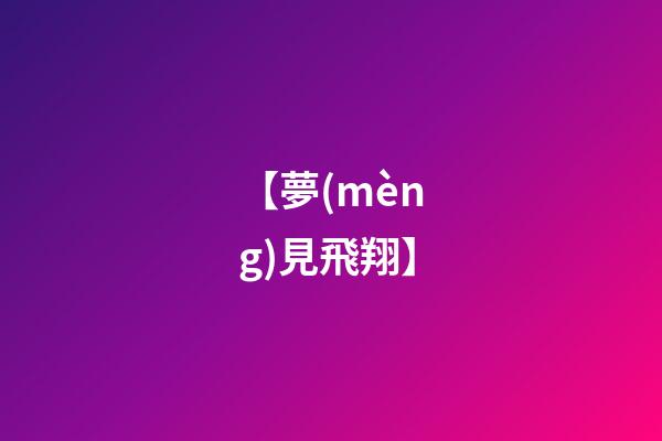 【夢(mèng)見飛翔】